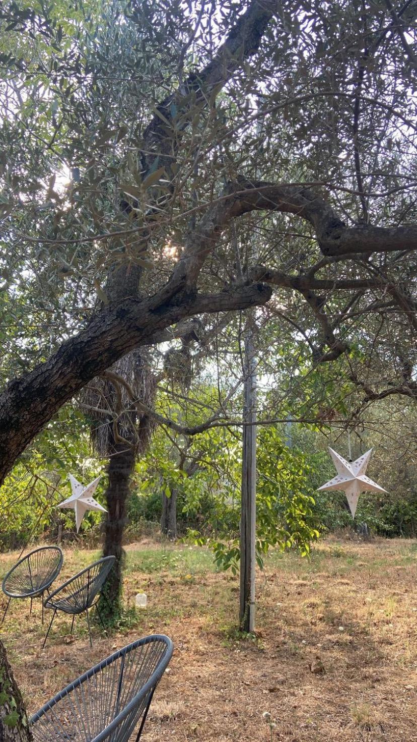 Bolsena Cento20 - Rooms & Relax Dış mekan fotoğraf
